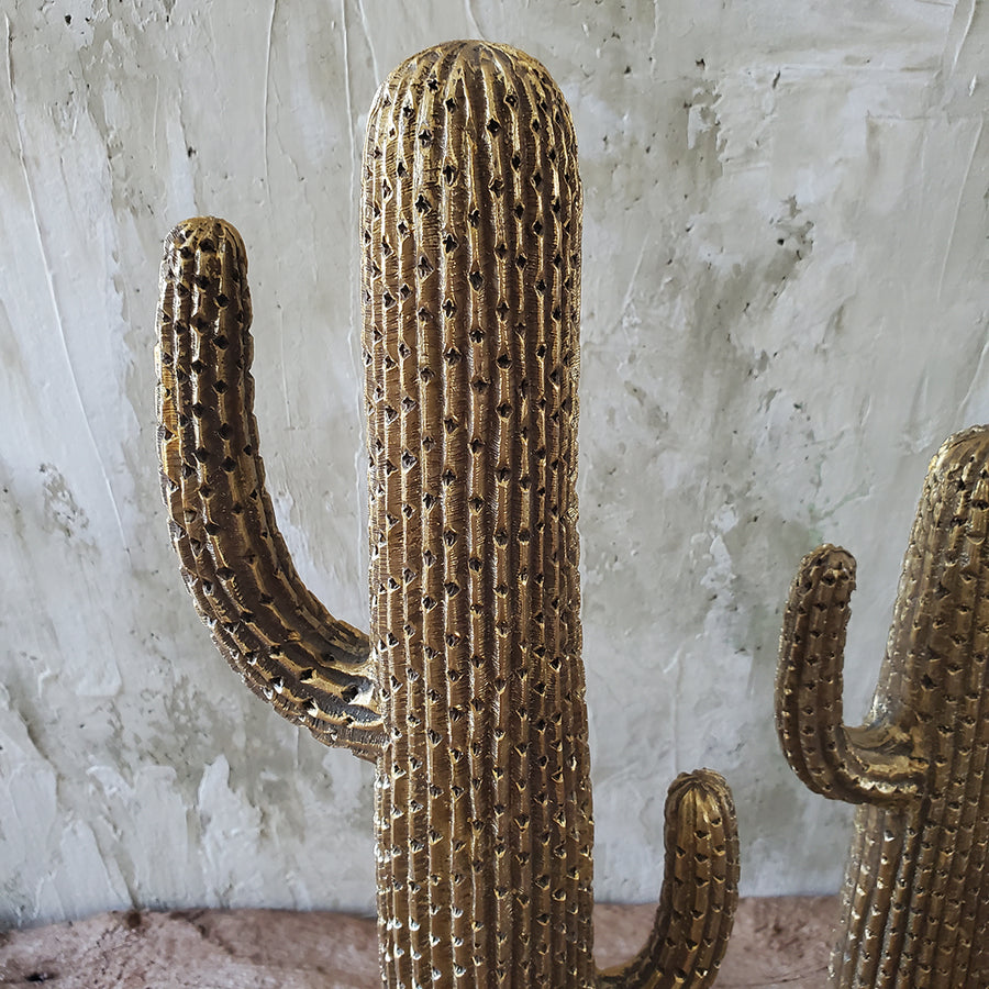 Set of 2 Cactus