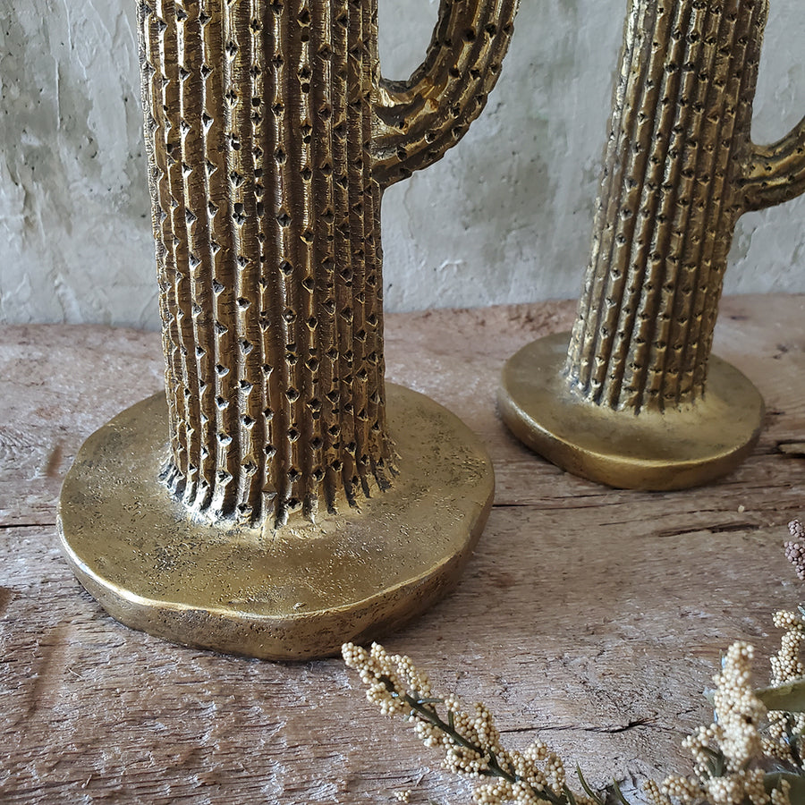 Set of 2 Cactus