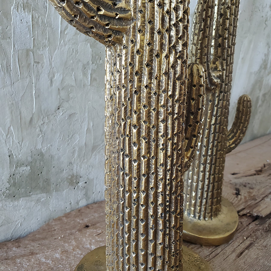 Set of 2 Cactus