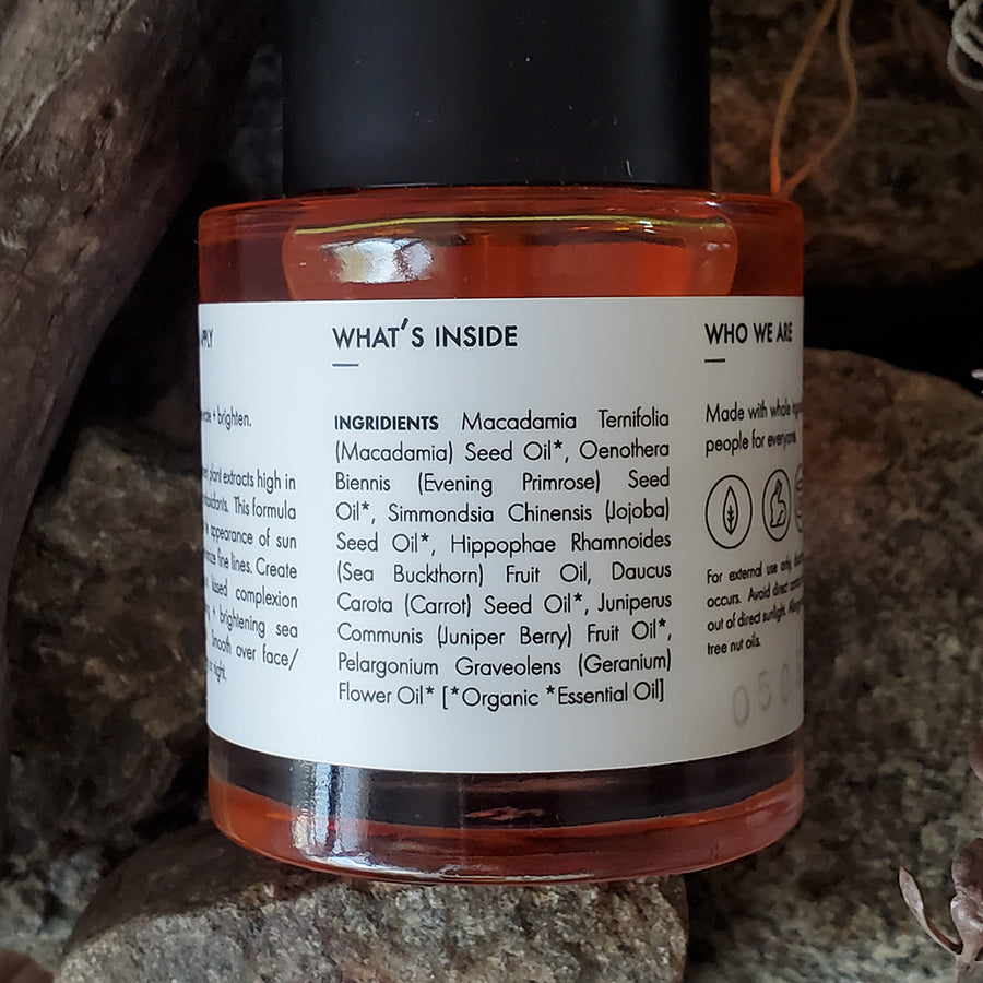 Sun Face Moisturizer - Harlow Skin Co.