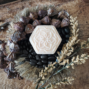 Advanced Moisturizing & Repair Shampoo Bar | Coconut Scent - Viori