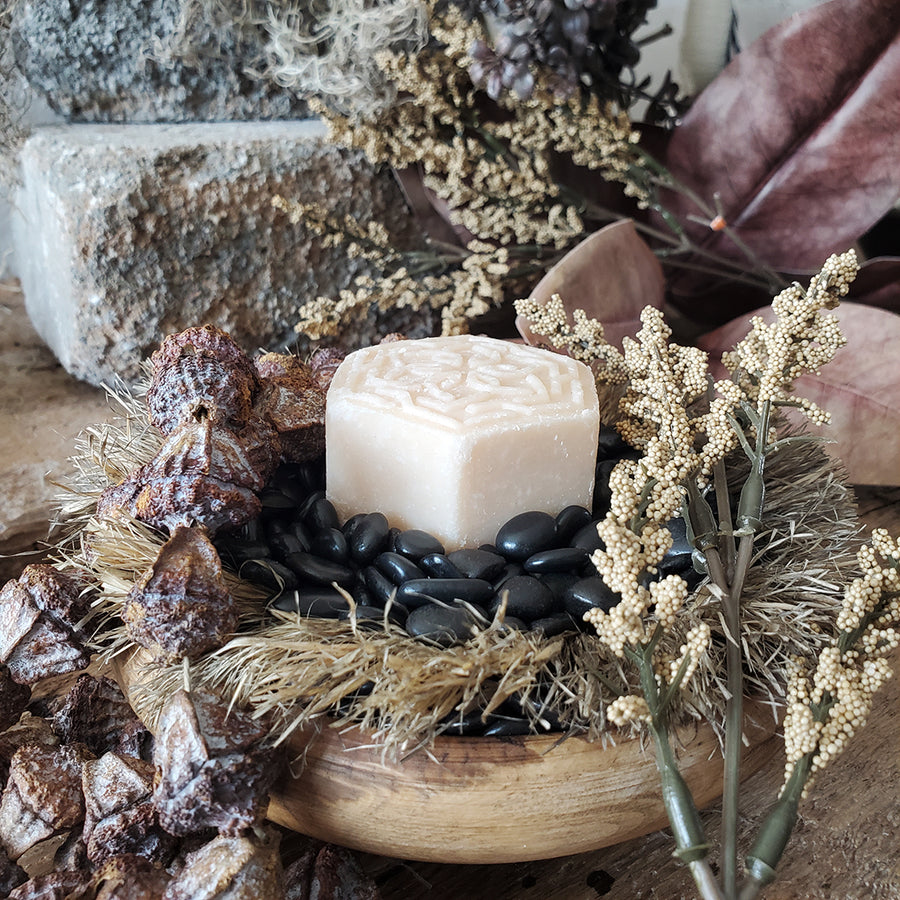 Advanced Moisturizing & Repair Shampoo Bar | Coconut Scent - Viori